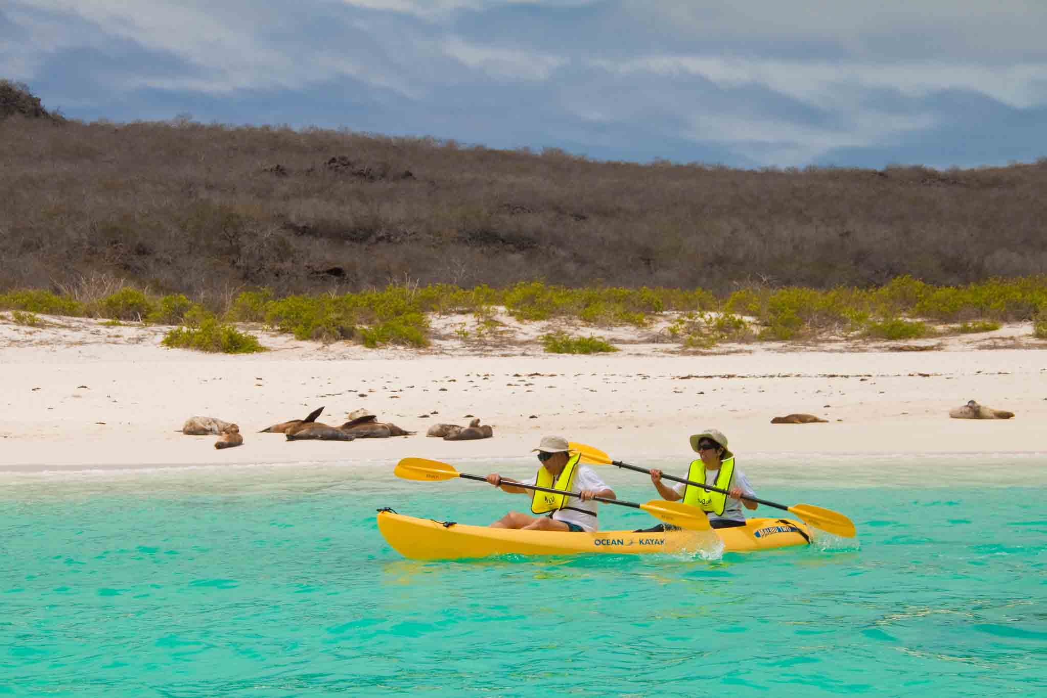 Family Travel to the Galapagos islands – FAQs